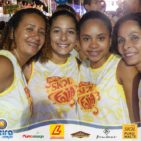 Bloco Skol Folia